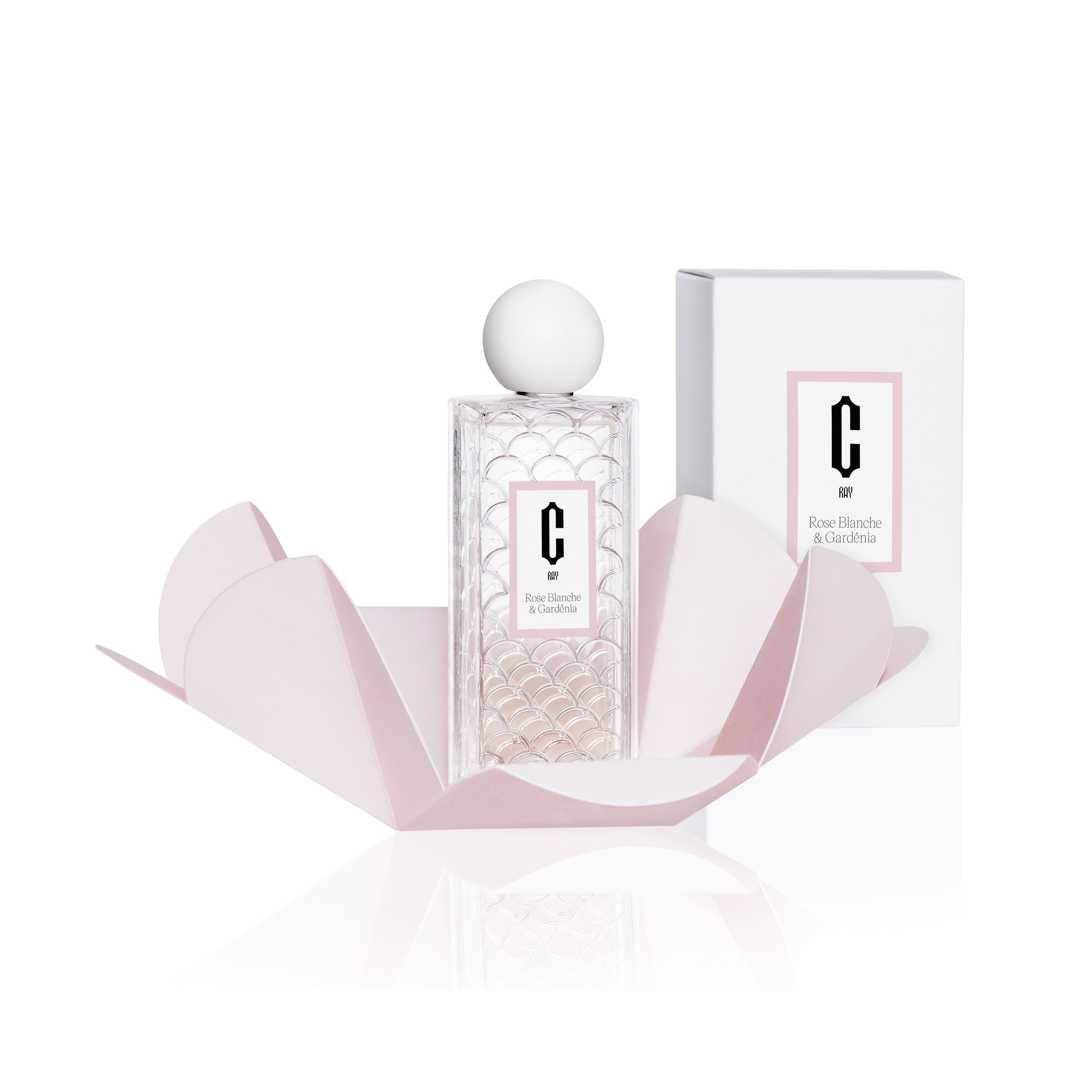 Rose Blanche &amp; Gardénia